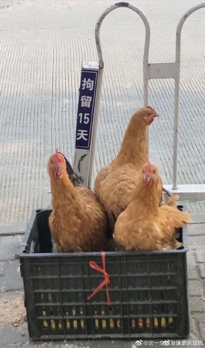 如何搜索手机热点视频号，轻松找到你的兴趣
