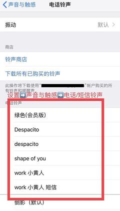 抖音音乐怎么设置铃声？轻松搞定你喜欢的音乐！