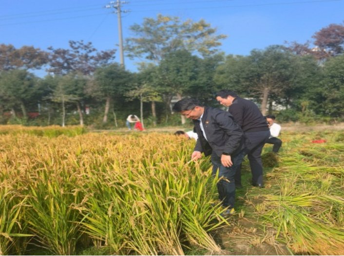 如何提升农村公众号的阅读量，助力乡村振兴