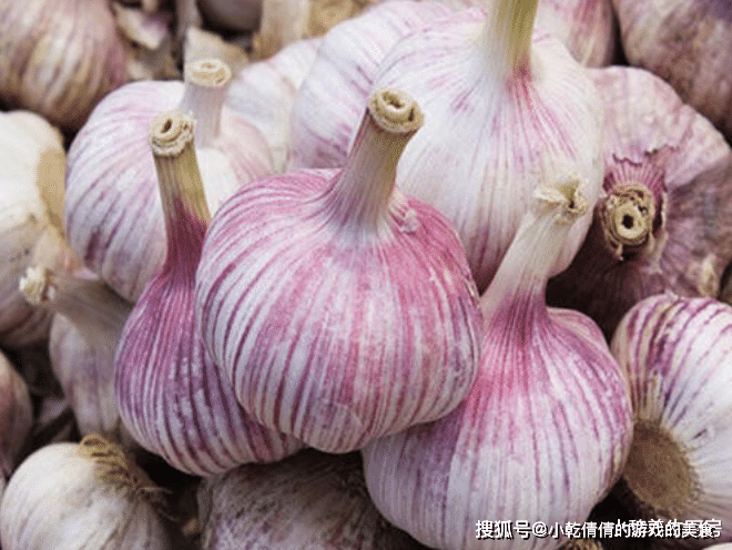 哔哩哔哩直播怎么录屏？教你轻松保存精彩瞬间！