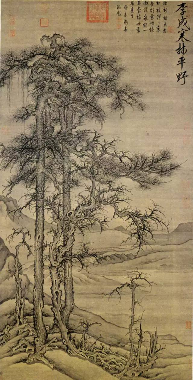 如何快速提升哔哩哔哩LV？全方位攻略助你一飞冲天！