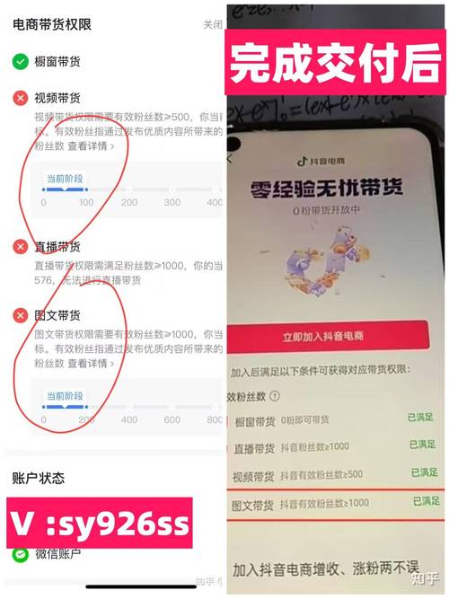 抖音粉丝业务下单24小时的简单介绍