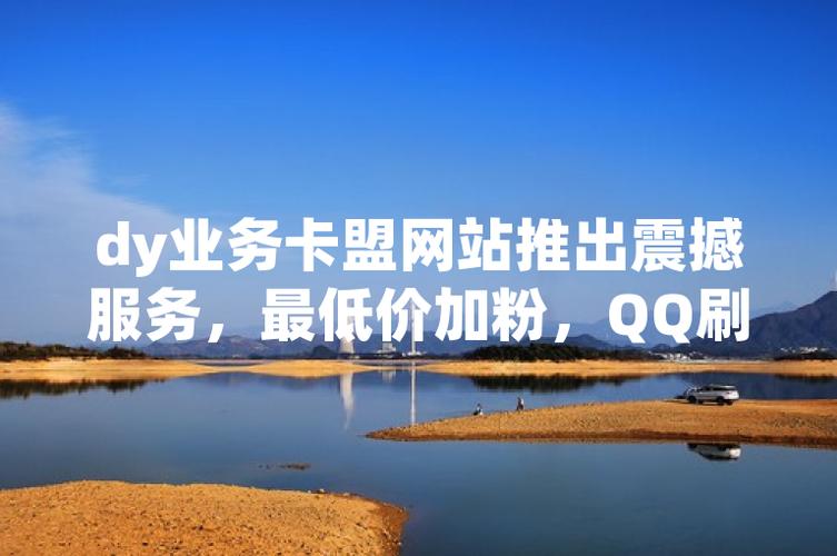 卡盟网代刷dy业务的简单介绍