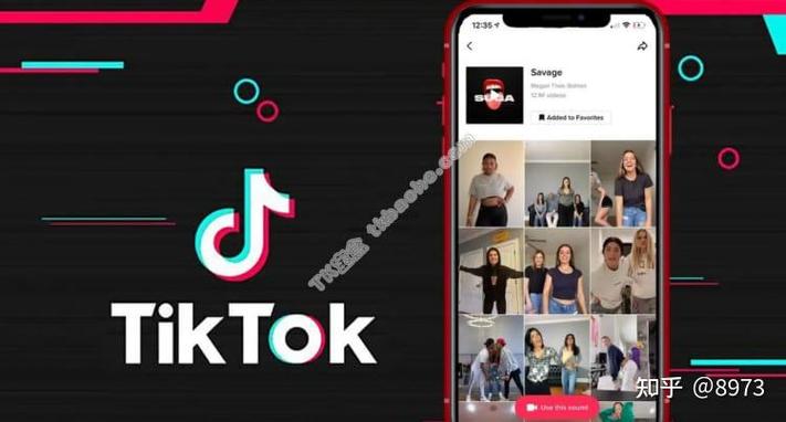 tiktok买粉哪里买_tiktok账号在哪买