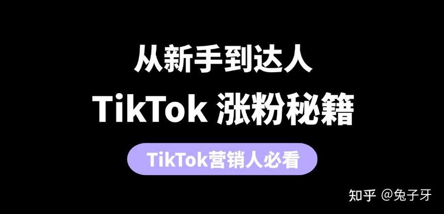 tiktok买粉_tiktok买粉价格