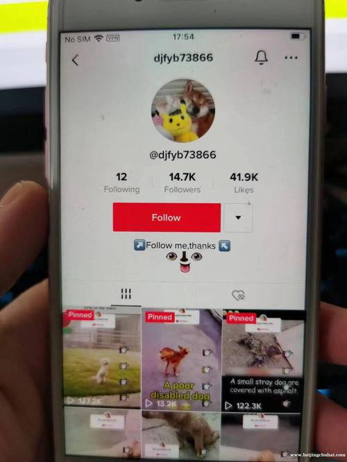 求tiktok买粉链接_购买tiktok账号