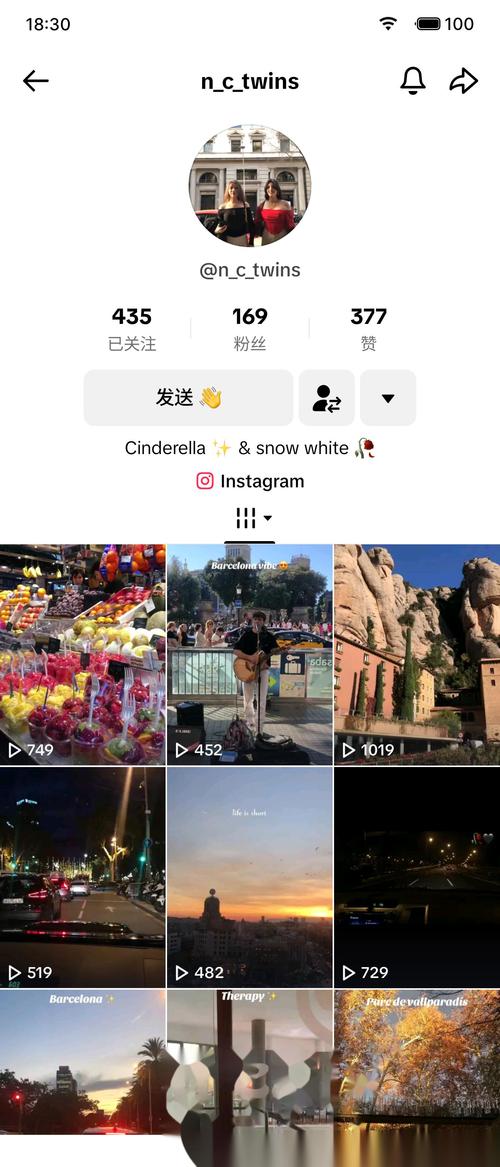 tiktok真人粉丝购买_tiktoksim购买