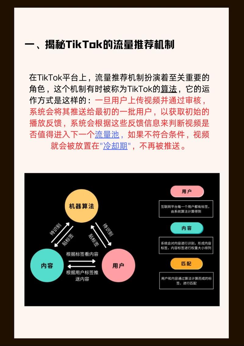tiktok粉丝购买的原理的简单介绍