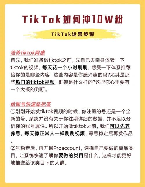 tiktok莉格买粉的简单介绍