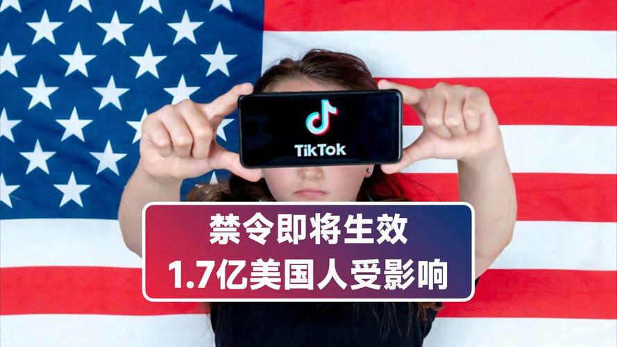 tiktok买粉已重置_tiktok卖了没