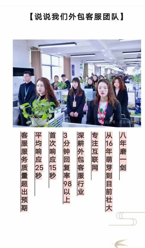 关于抖音业务24小时自助平台丹丹的信息