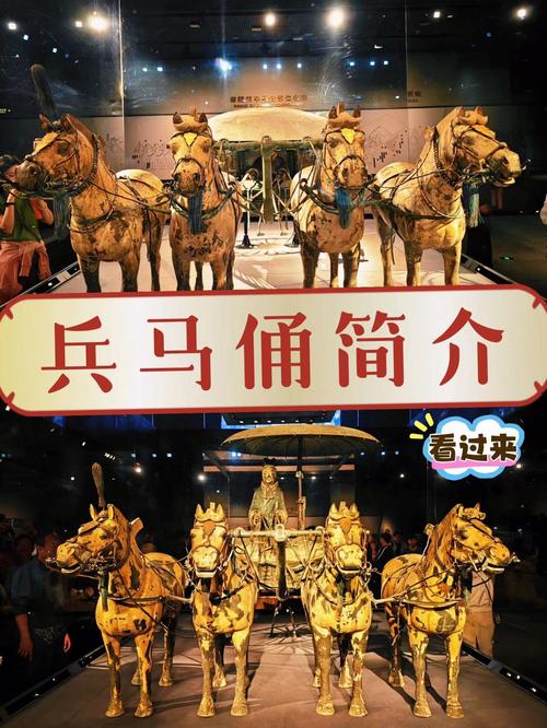 抖音直播人气软件兵马俑的简单介绍