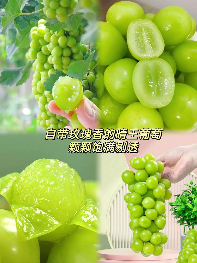 抖音自助晴王葡萄_晴王葡萄的广告视频