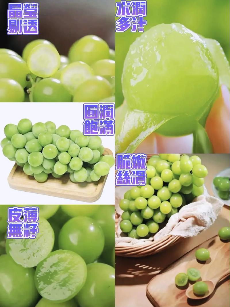 抖音自助晴王葡萄_晴王葡萄的广告视频