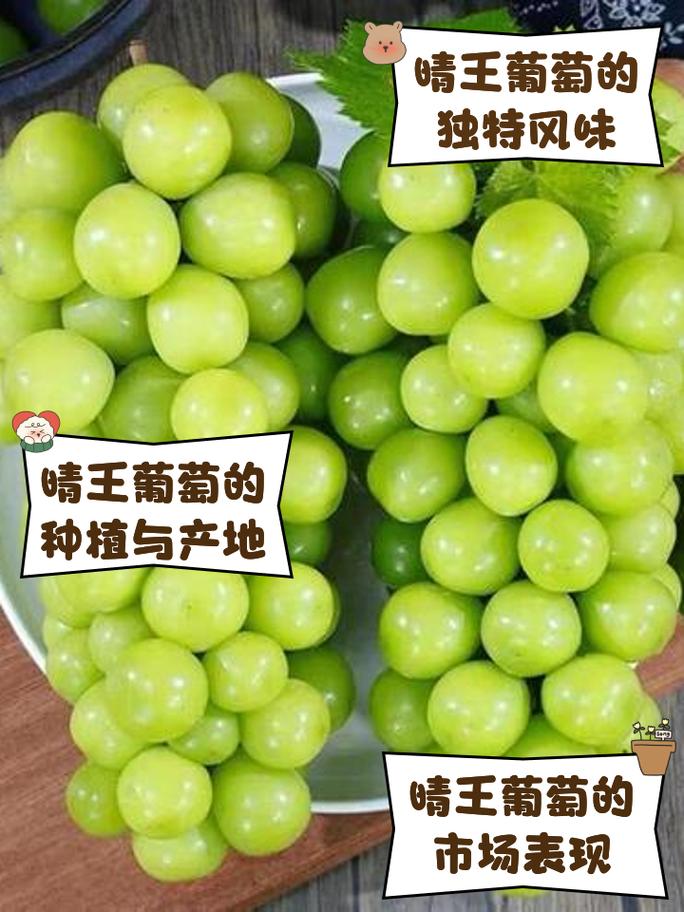 抖音自助晴王葡萄_晴王葡萄的广告视频