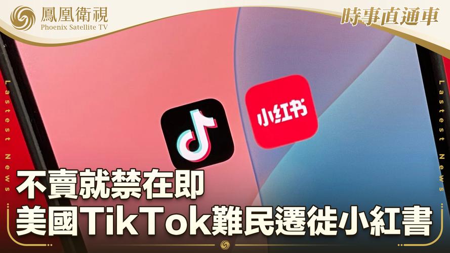 tiktok买粉会限流_tiktok卖没卖