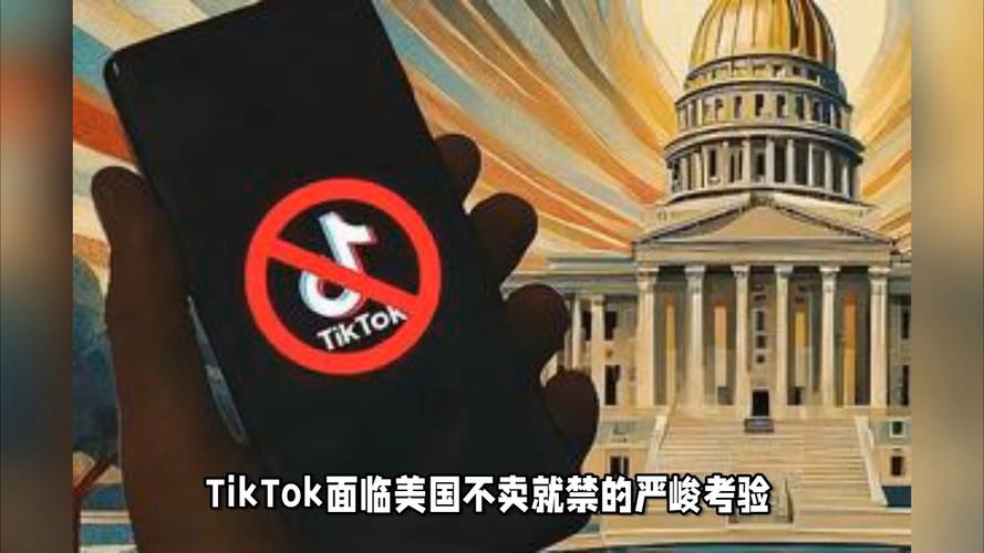 tiktok买粉会限流_tiktok卖没卖