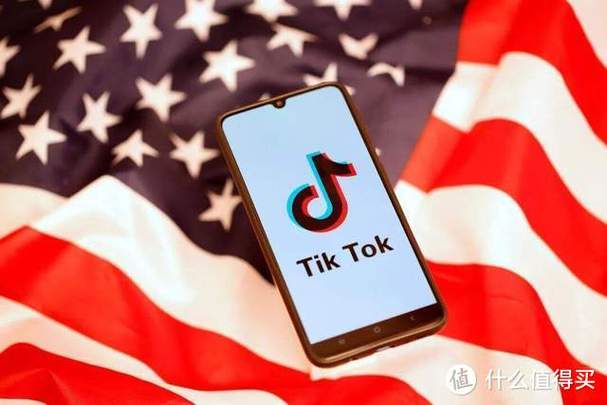 tiktok买粉查吗_tiktok有没有卖
