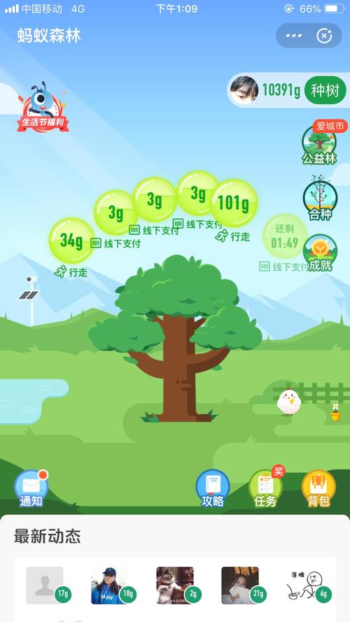 蚂蚁森林自助下单平台官网