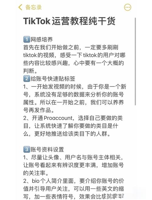 TikTok自助刷粉攻略:实战技巧助你快速增粉