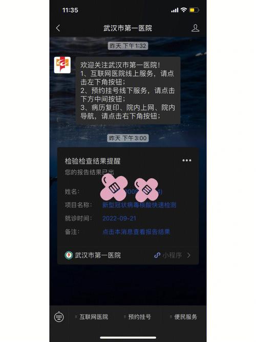 武汉协和核酸自助下单,武汉协和核酸自助下单：便捷、高效的新时代医疗体验!