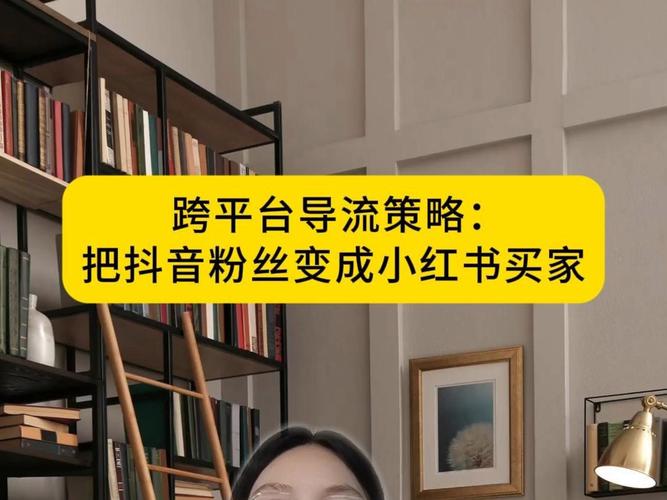 抖音粉丝提高业务,抖音粉丝提升业务:策略与实践!