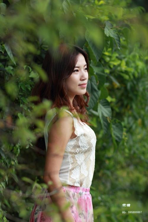 qq夏花自助下单,一、引言!