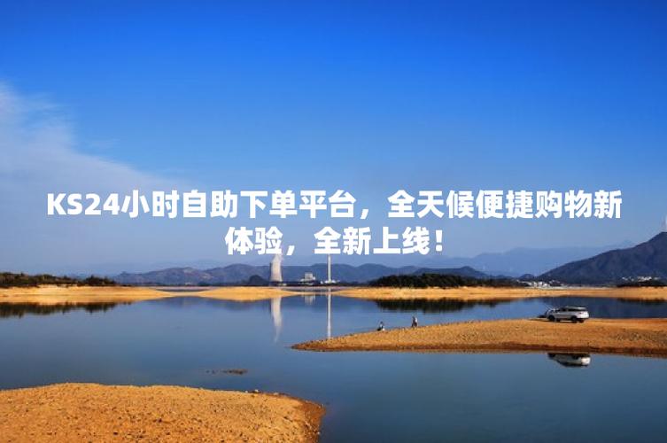 下单自助下单,走进数字化的时代，越来越多的人选择自助下单作为购物的方式。自助下单不仅方便快捷，还能有效避免人工下单可能出现的误差，提高购物体验。本文将详细介绍自助下单的优势、操作流程以及可能遇到的问题和解决方案，帮助大家更好地了解和运用这一便捷的购物方式。!