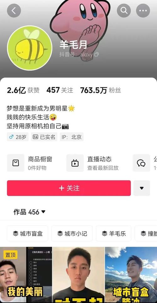 做抖音业务的粉丝,抖音业务的粉丝之路：从新手到资深用户的蜕变之旅!