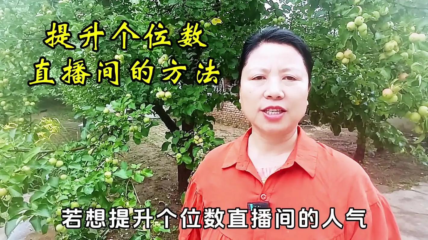 抖音直播自定义人气,抖音直播自定义人气：策略与实践!