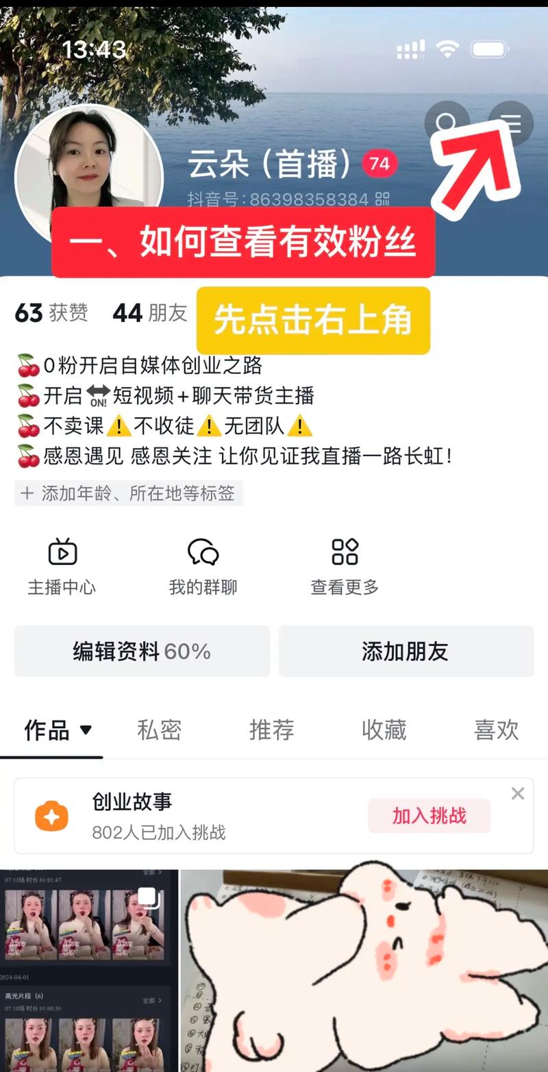 快手抖音粉丝业务网站是什么意思,一、快手抖音粉丝业务网站概述!