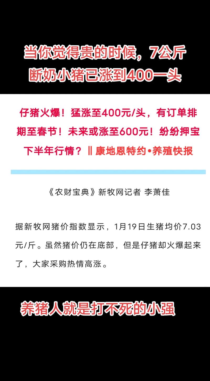 小强抖音等级粉丝业务,探索抖音级粉丝业务：小强的成长之路!