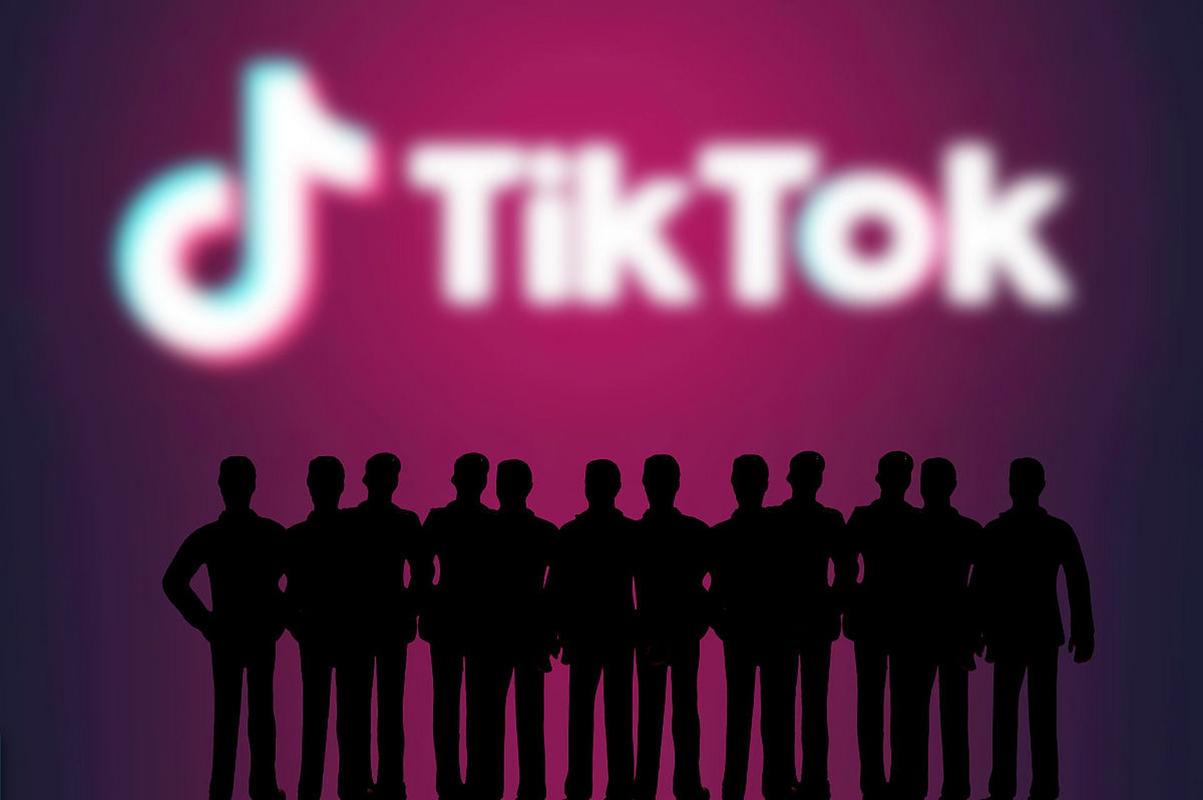 tiktok涨粉服务,TikTok涨粉服务：深度解析与实践指南!