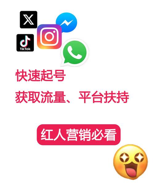 tiktok涨粉服务,TikTok涨粉服务：深度解析与实践指南!