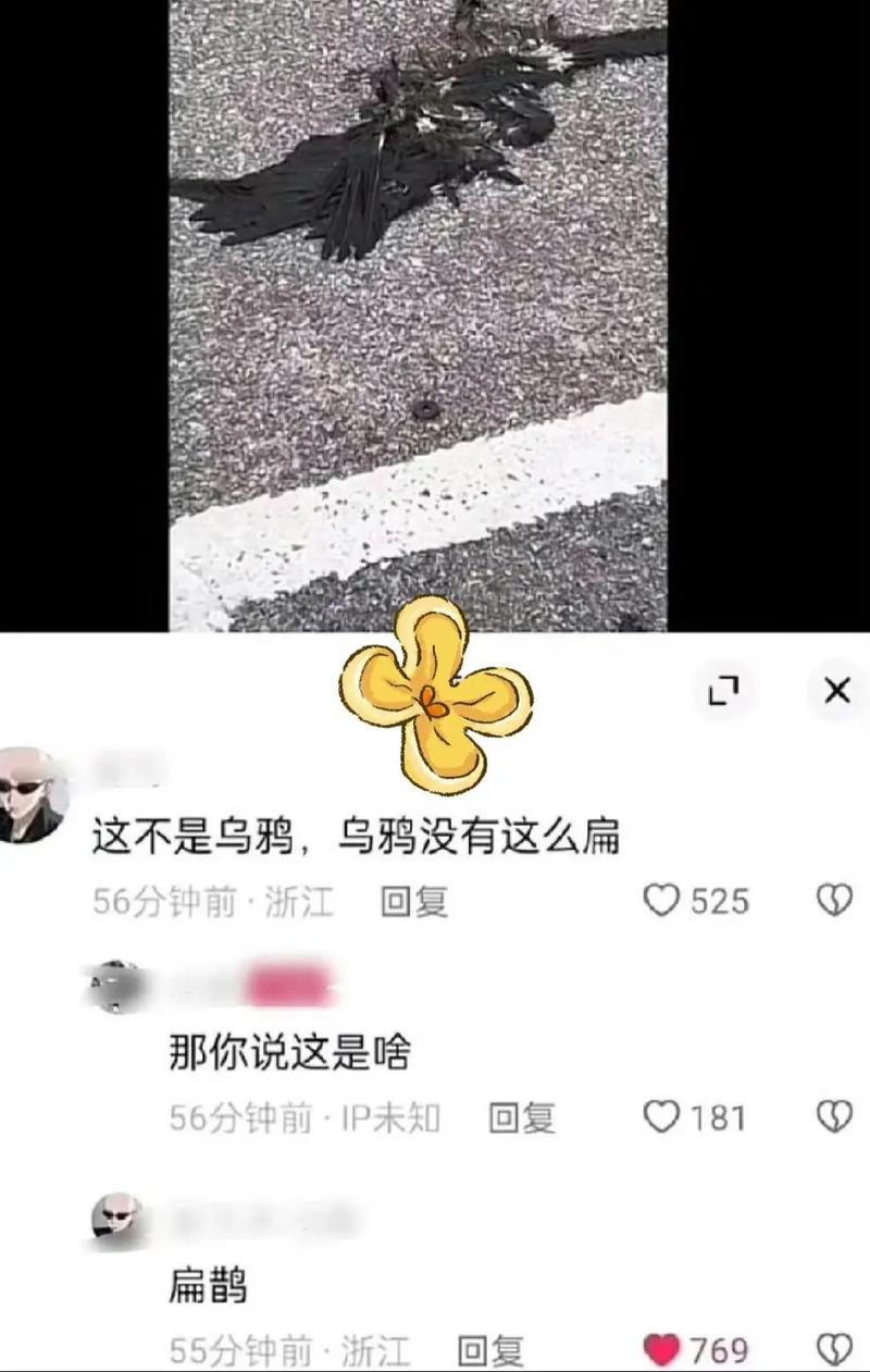 抖音评论区刷梗