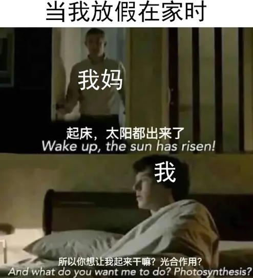 抖音评论区刷梗