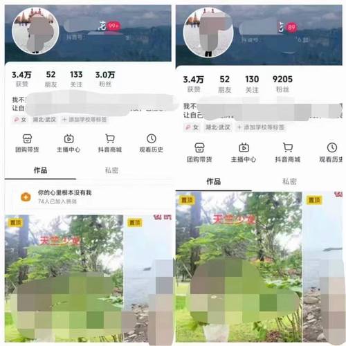 抖音粉丝投放业务有哪些,抖音粉丝投放业务深度解析!