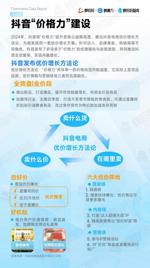 抖音粉丝业务报价,抖音粉丝业务报价：深度探讨与全面解析!