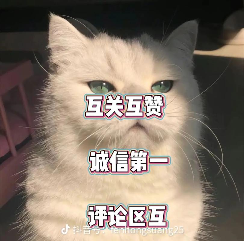 抖音评论区互刷