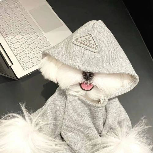 24小时快手自助下单直播间人气