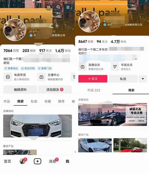 抖音最新千川涨粉怎么投,抖音最新千川涨粉策略详解:如何精准投放吸引更多粉丝!