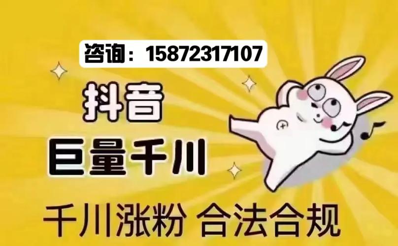 抖音千川涨粉有必要吗安全吗,抖音千川涨粉的重要性及其安全性分析!