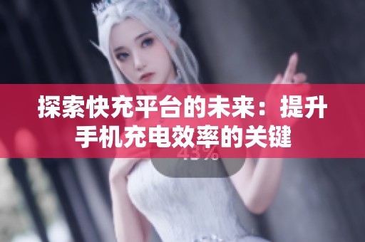 探索快充平台的未来：提升手机充电效率的关键