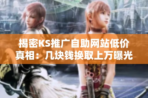 揭密KS推广自助网站低价真相：几块钱换取上万曝光的背后秘密