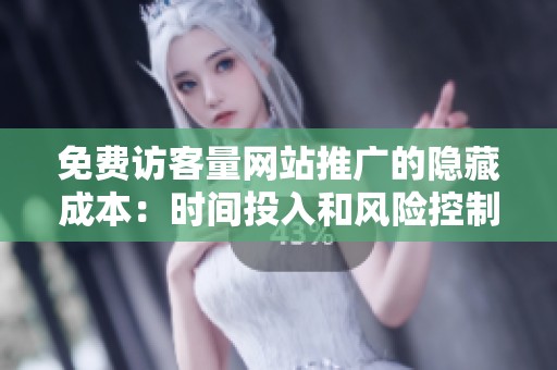 免费访客量网站推广的隐藏成本：时间投入和风险控制
