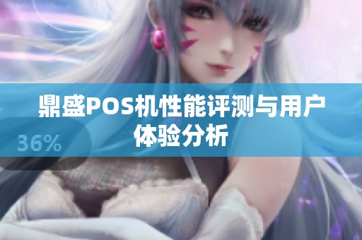 鼎盛POS机性能评测与用户体验分析 鼎盛POS机性能评测与用户体验分析