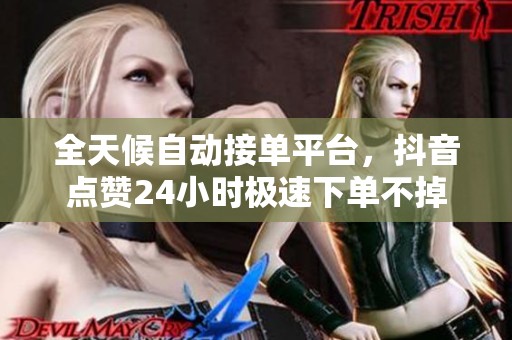 全天候自动接单平台，抖音点赞24小时极速下单不掉线