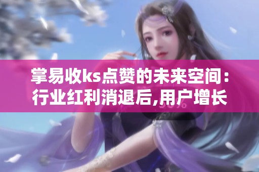 掌易收ks点赞的未来空间：行业红利消退后,用户增长如何持续？