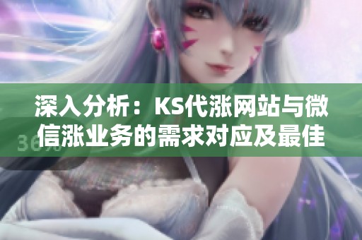 深入分析：KS代涨网站与微信涨业务的需求对应及最佳方案选择