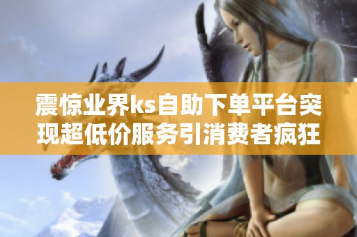 震惊业界ks自助下单平台突现超低价服务引消费者疯狂抢购